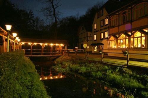 Waldhotel Pfarrmuehle Eisenberg  Extérieur photo