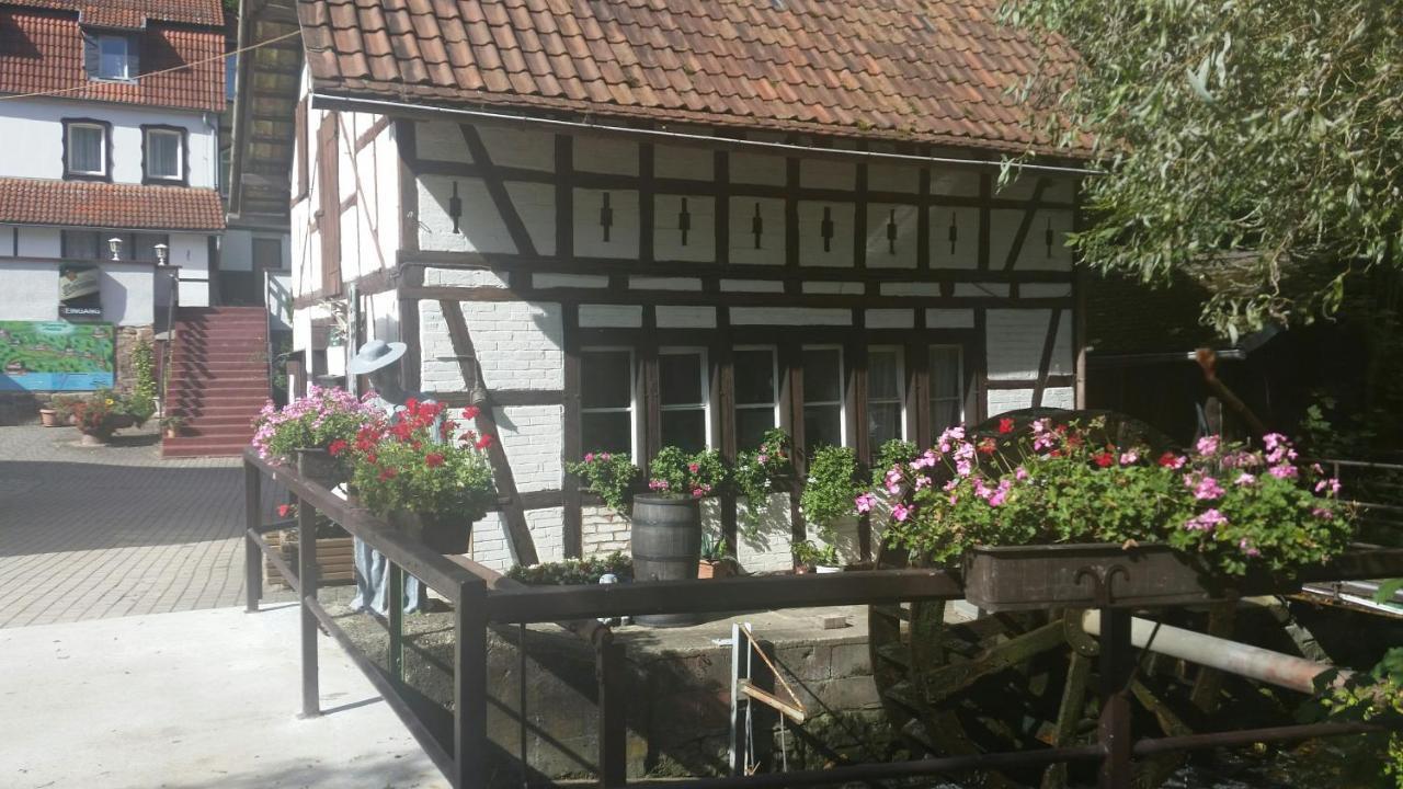 Waldhotel Pfarrmuehle Eisenberg  Extérieur photo